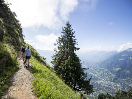 Merano High Mountain Trail - 1st stage: Hochmuth - Giggelberg Partschins/Parcines 4 suedtirol.info
