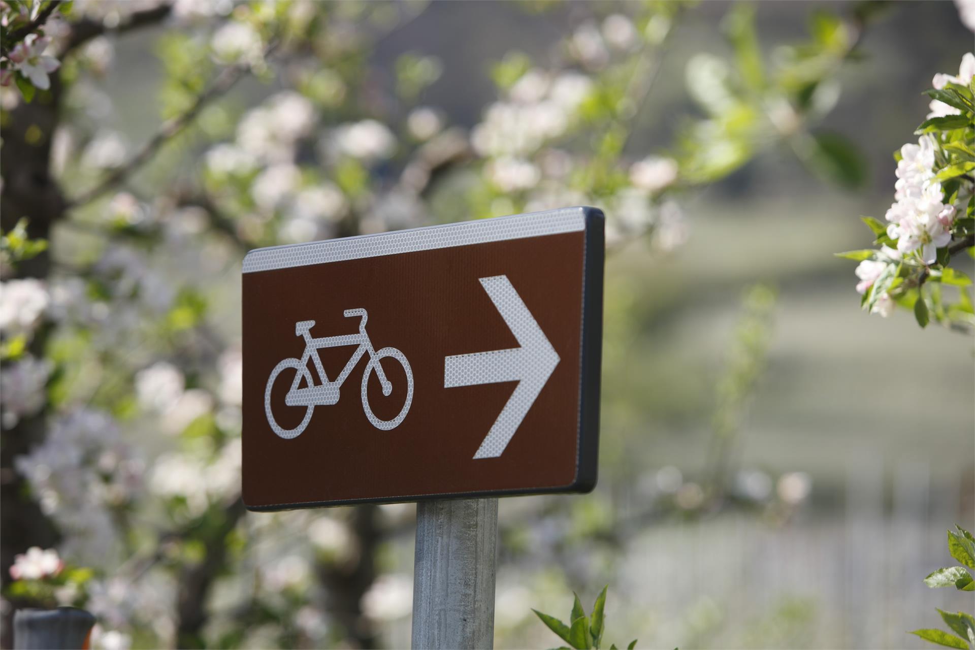 Cycling through Val Venosta Via Claudia Augusta stage Rabland/Rablà-Reschen/Resia Partschins/Parcines 5 suedtirol.info