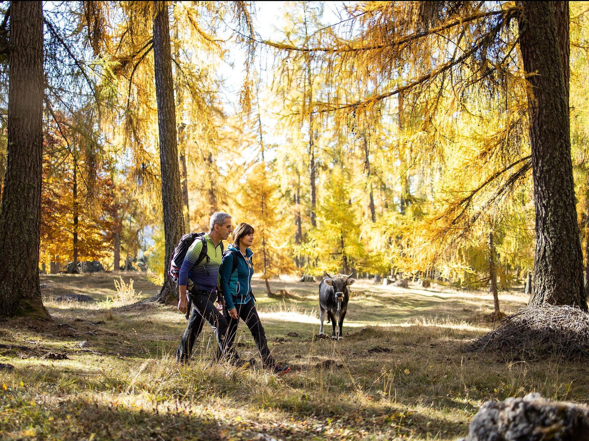 Etappe b1 | Aldein – Gfrill Aldein 1 suedtirol.info