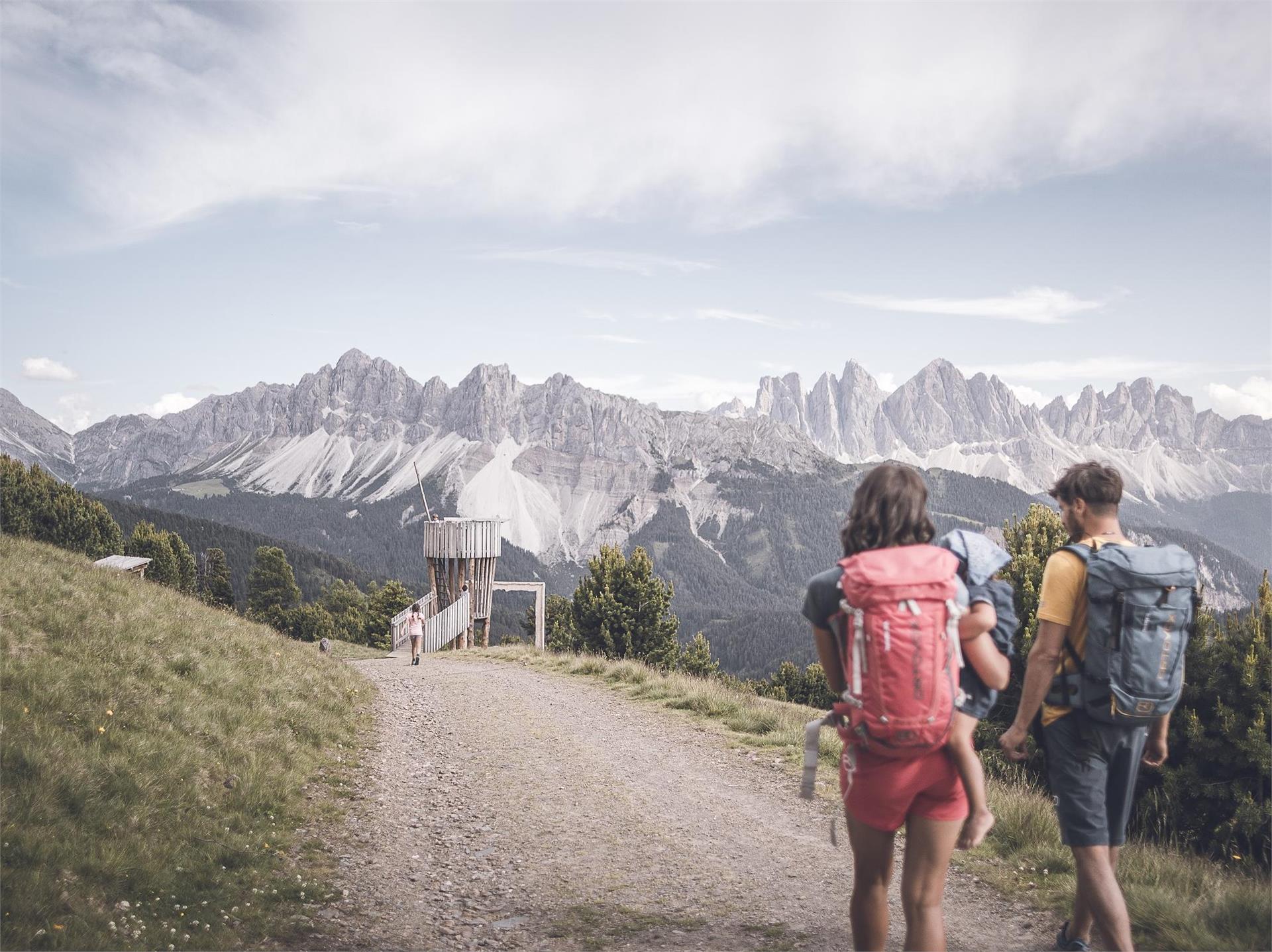 Erlebnisweg Lorggenring auf der Plose Brixen 3 suedtirol.info