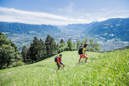 Merano High Mountain Trail: Hike from Matatz to the Hochmuth Tirol/Tirolo 1 suedtirol.info