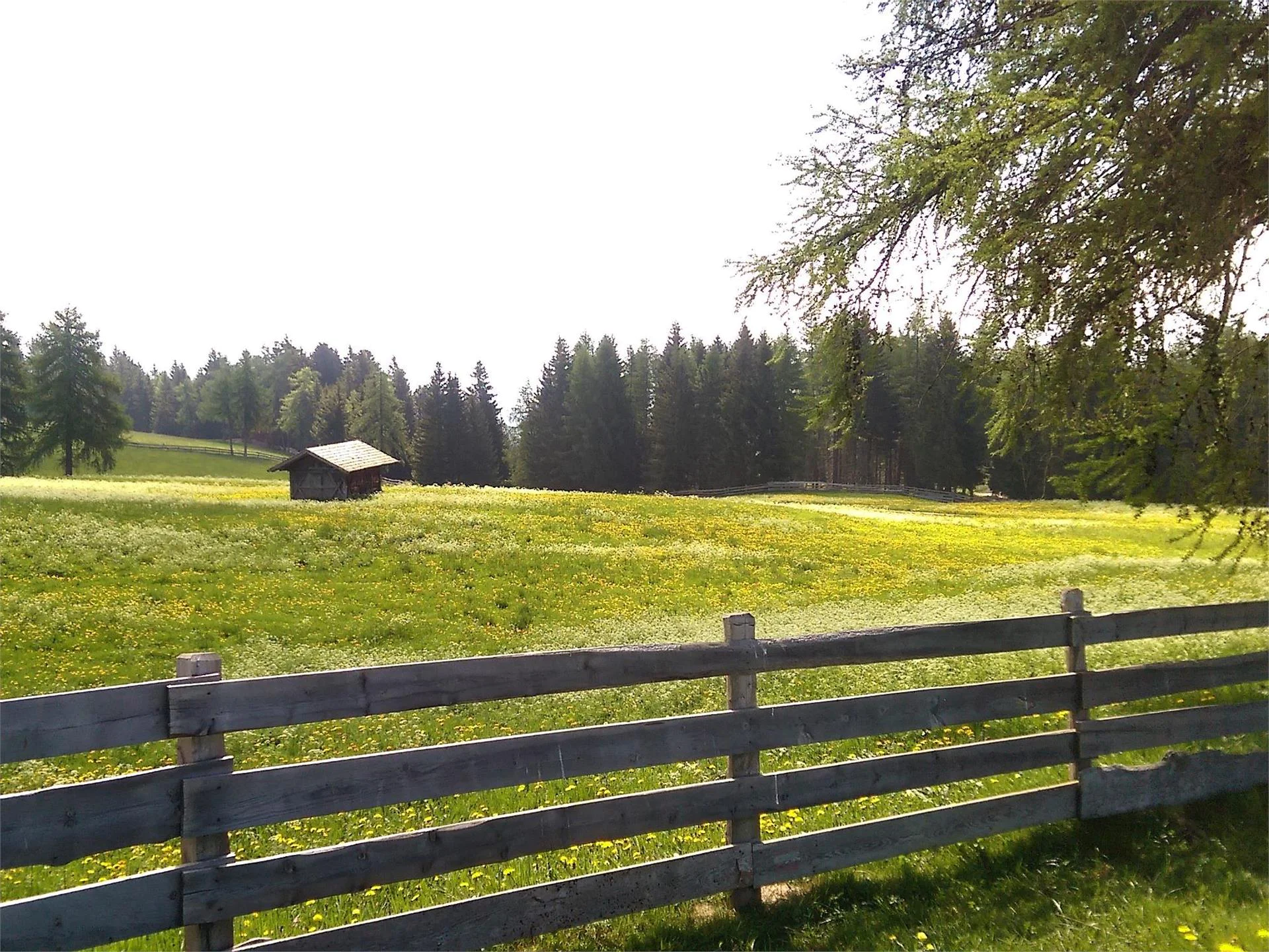 Europäischer Fernwanderweg über den Tschögglberg Jenesien 2 suedtirol.info