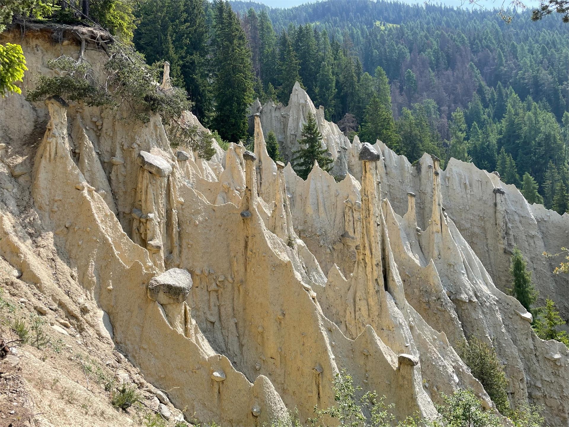 Erdpyramiden Rasen-Antholz 3 suedtirol.info