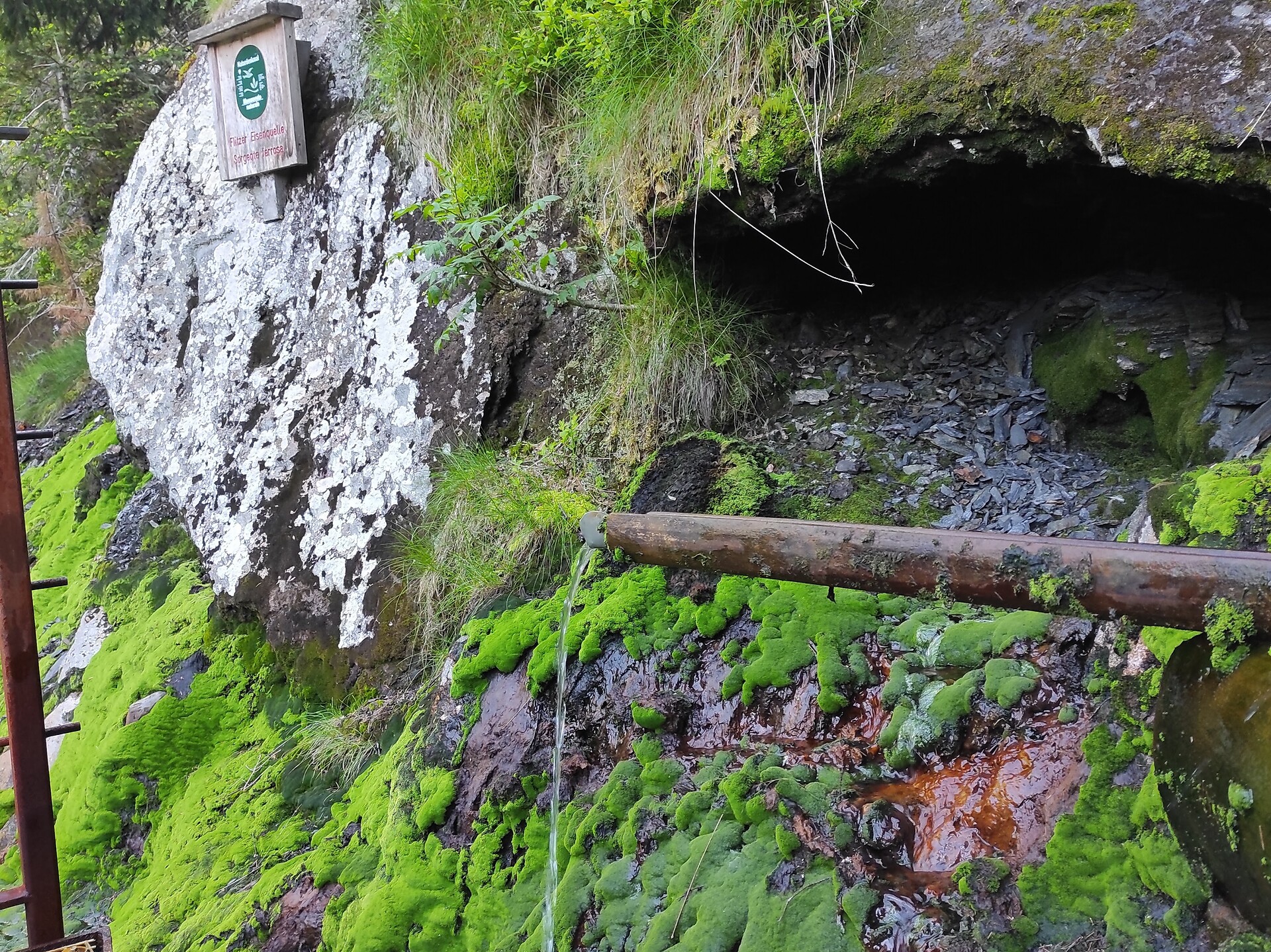 Sorgente di ferro