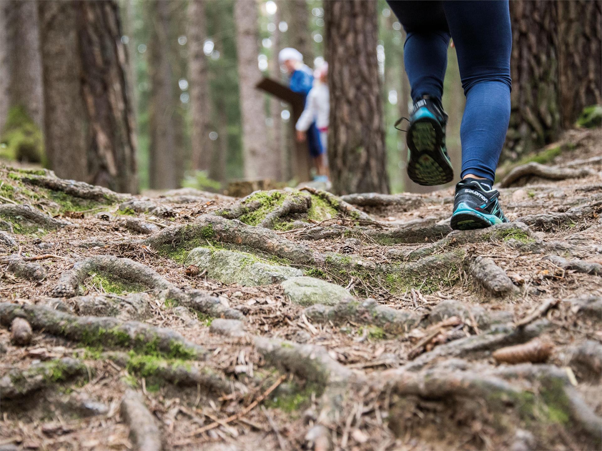 The Elves' trail: an adventure for the whole family Terenten/Terento 3 suedtirol.info
