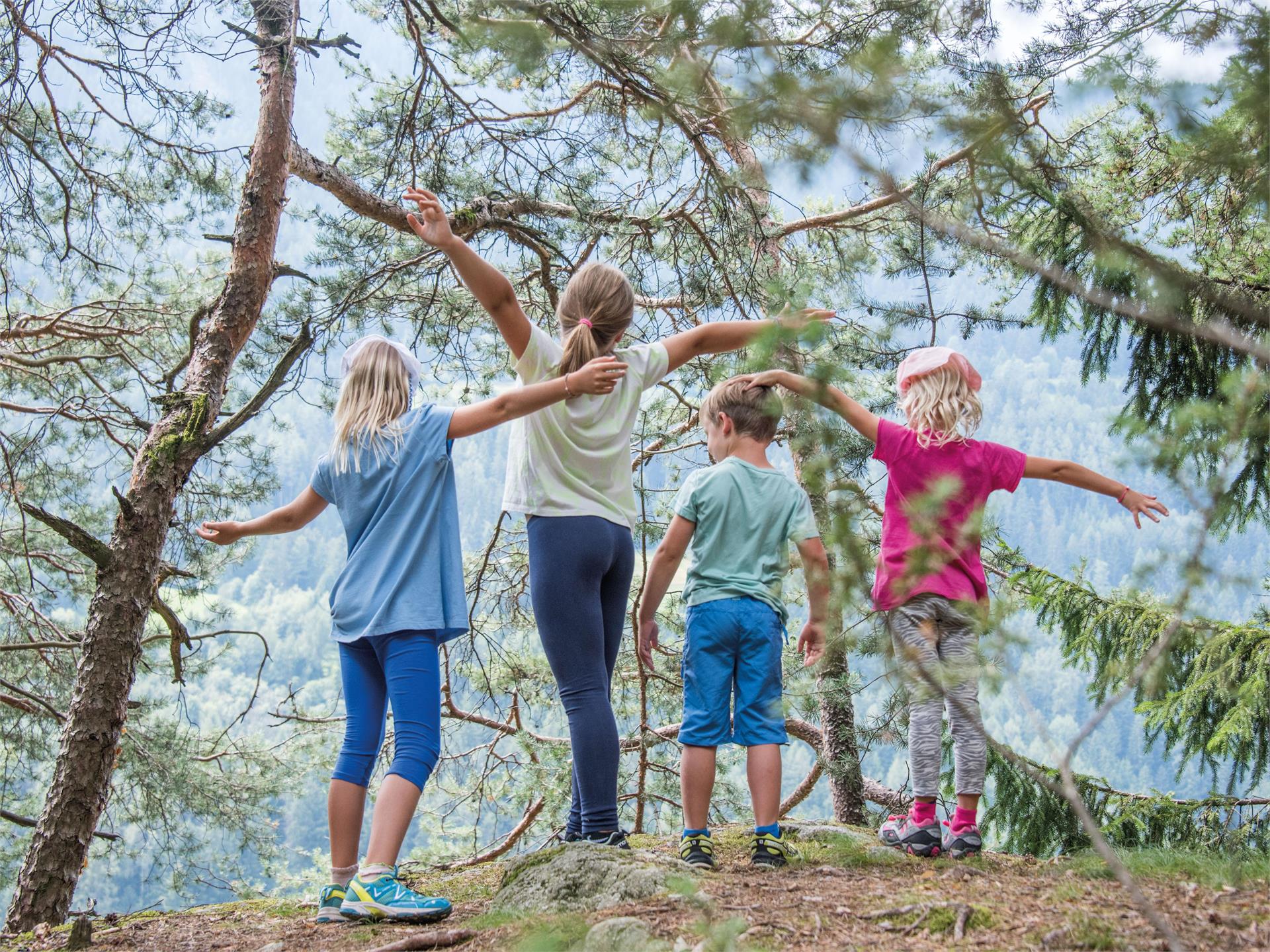 The Elves' trail: an adventure for the whole family Terenten/Terento 4 suedtirol.info