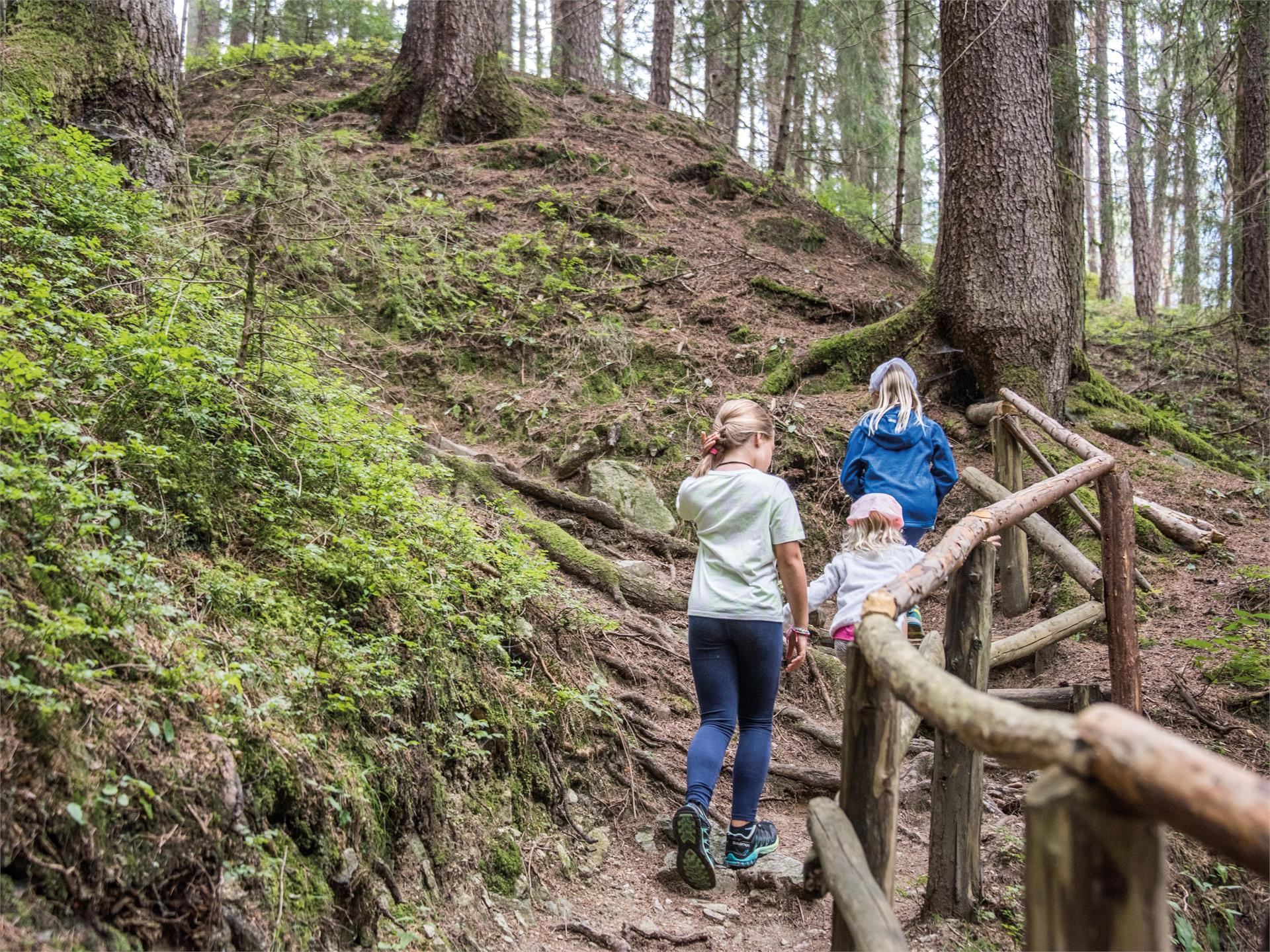 The Elves' trail: an adventure for the whole family Terenten/Terento 2 suedtirol.info