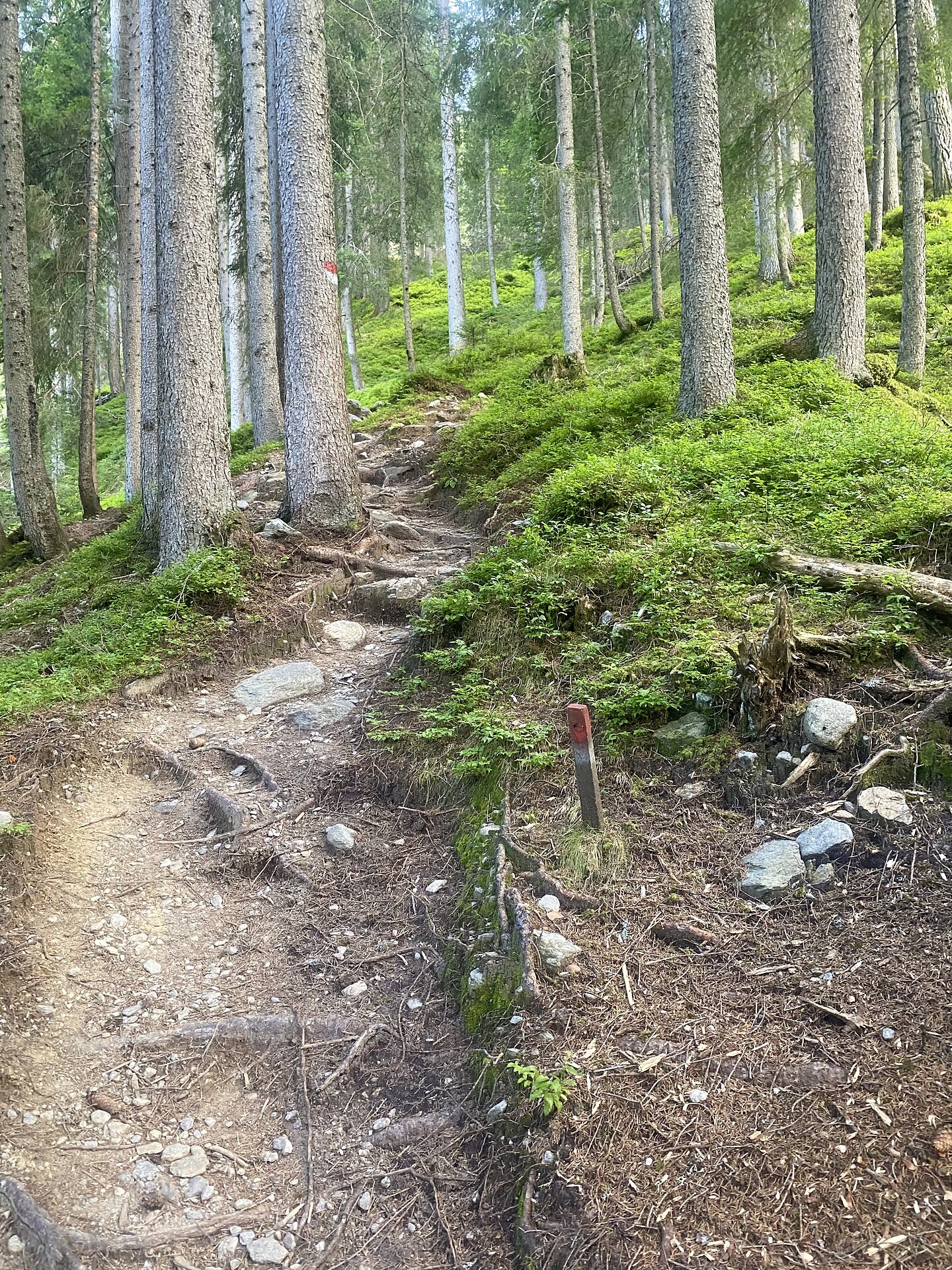 From Gasse to the Einachtspitze peak - Sterzing/Vipiteno and environs - #2 - suedtirol.info