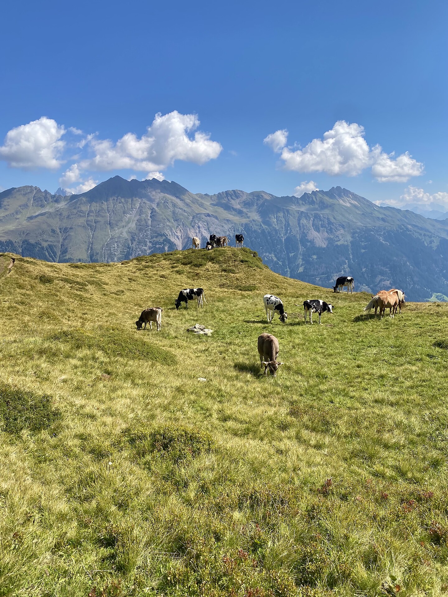 From Gasse to the Einachtspitze peak - Sterzing/Vipiteno and environs - #3 - suedtirol.info