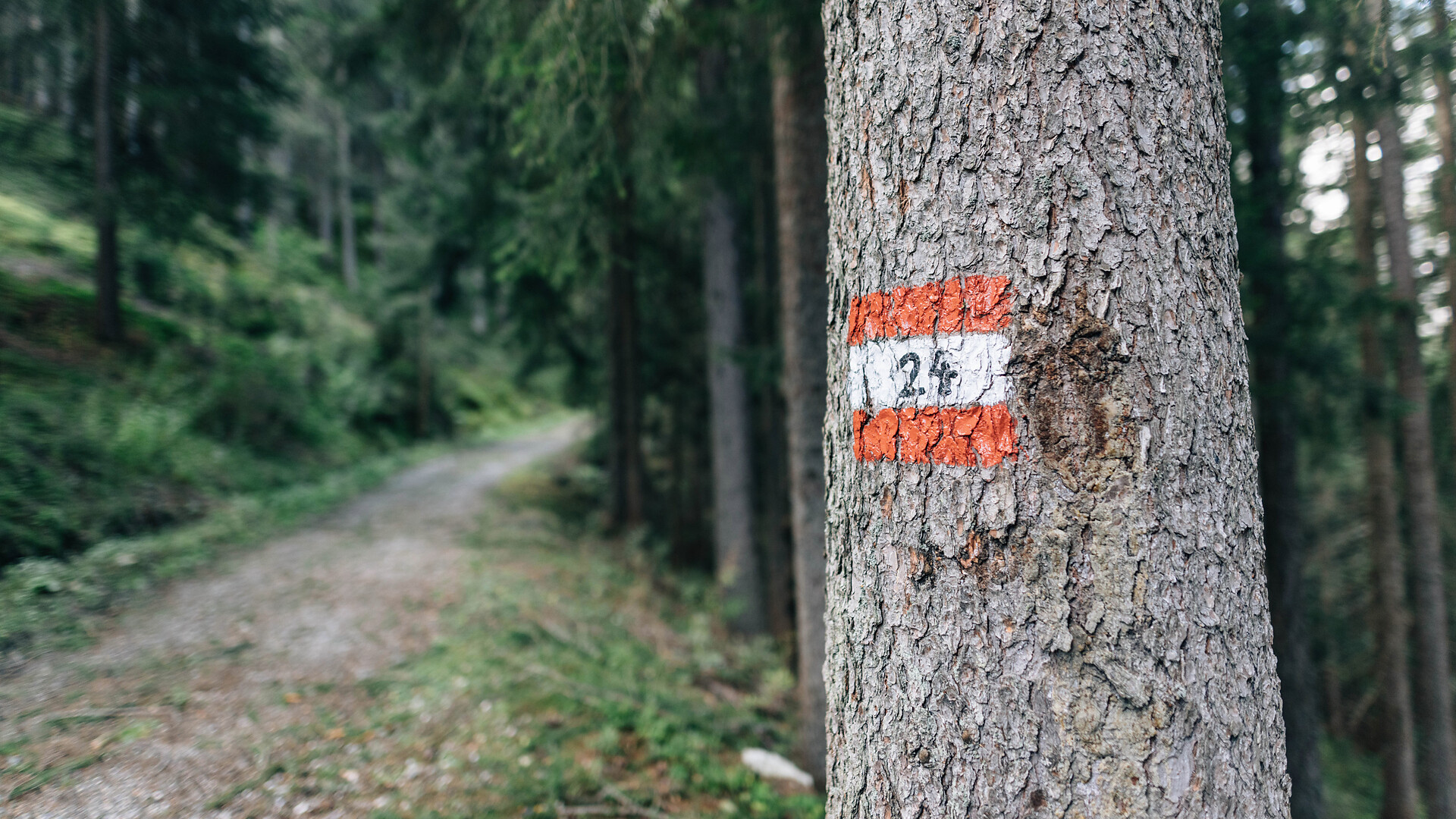 Etappenvorschlag Meraner Höhenweg 5: Von Pfelders nach Matatz - Meran und Umgebung - #3 - suedtirol.info