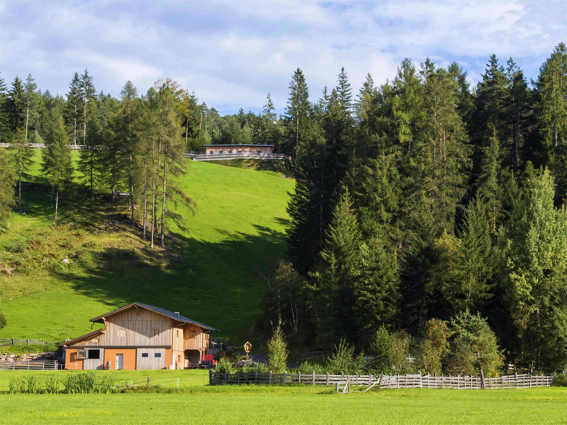 Erlebnisweg BienenWald Karneid 6 suedtirol.info