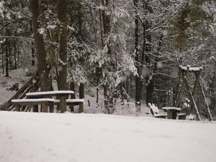 Percorso avventura - natura "Vorbichl" in inverno Tesimo 2 suedtirol.info