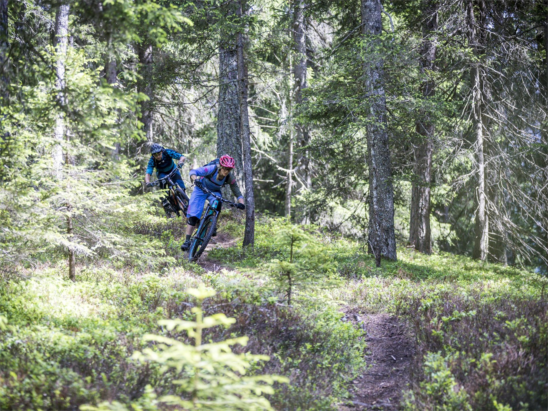 E-Bike Tour Monte Rota Dobbiaco 1 suedtirol.info