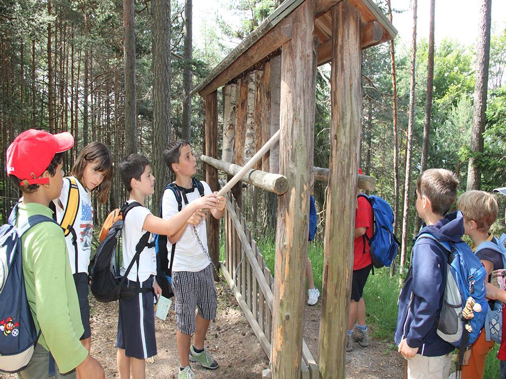 Sentiero di San Martino San Genesio Atesino 10 suedtirol.info
