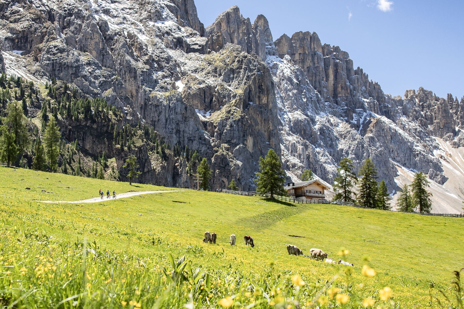 Eggentaler Bergkino – Latemar - Dolomitenregion Eggental - #3 - suedtirol.info