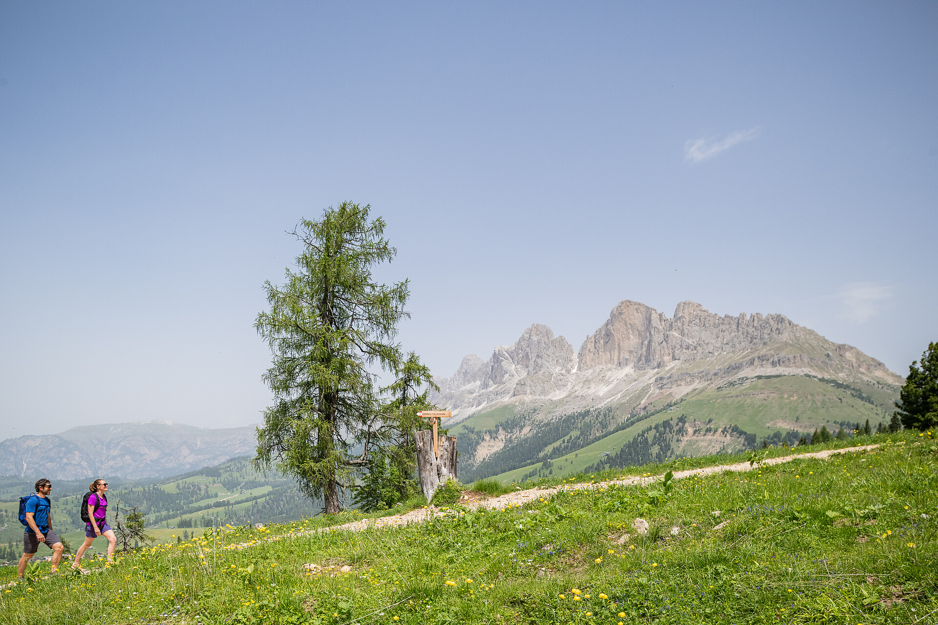 Cinema di montagna in Val d’Ega - Prati del Latemar Nova Levante 2 suedtirol.info