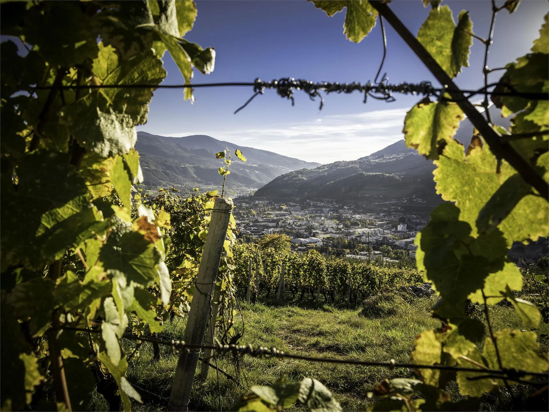 Eisacktal Valley Wine and Apple Trail Brixen/Bressanone 1 suedtirol.info