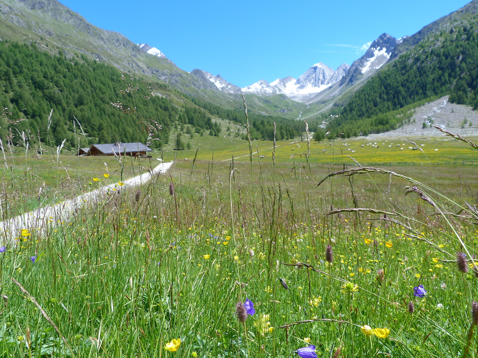 Merano High Mountain Trail