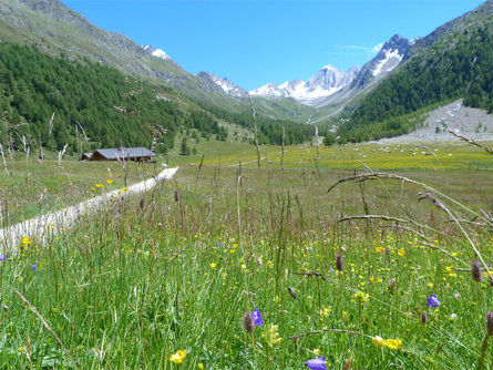 Merano High Mountain Trail Stage Suggestion No. 3: from Monte S. Caterina/Katharinabger to Mountian pasture Eishof Schnals/Senales 4 suedtirol.info