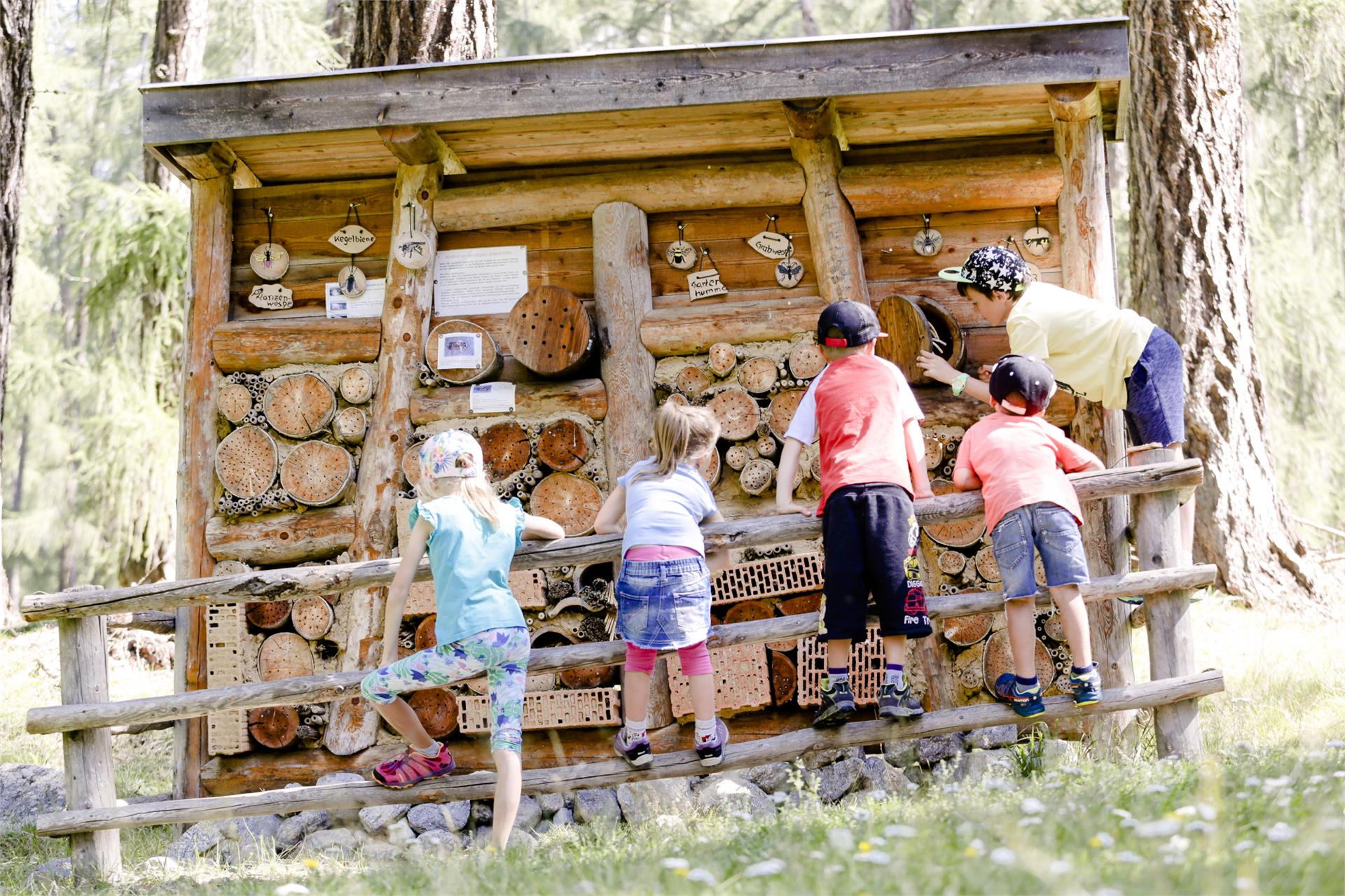 Erlebnisweg Schatzsuche Talai Graun im Vinschgau 1 suedtirol.info
