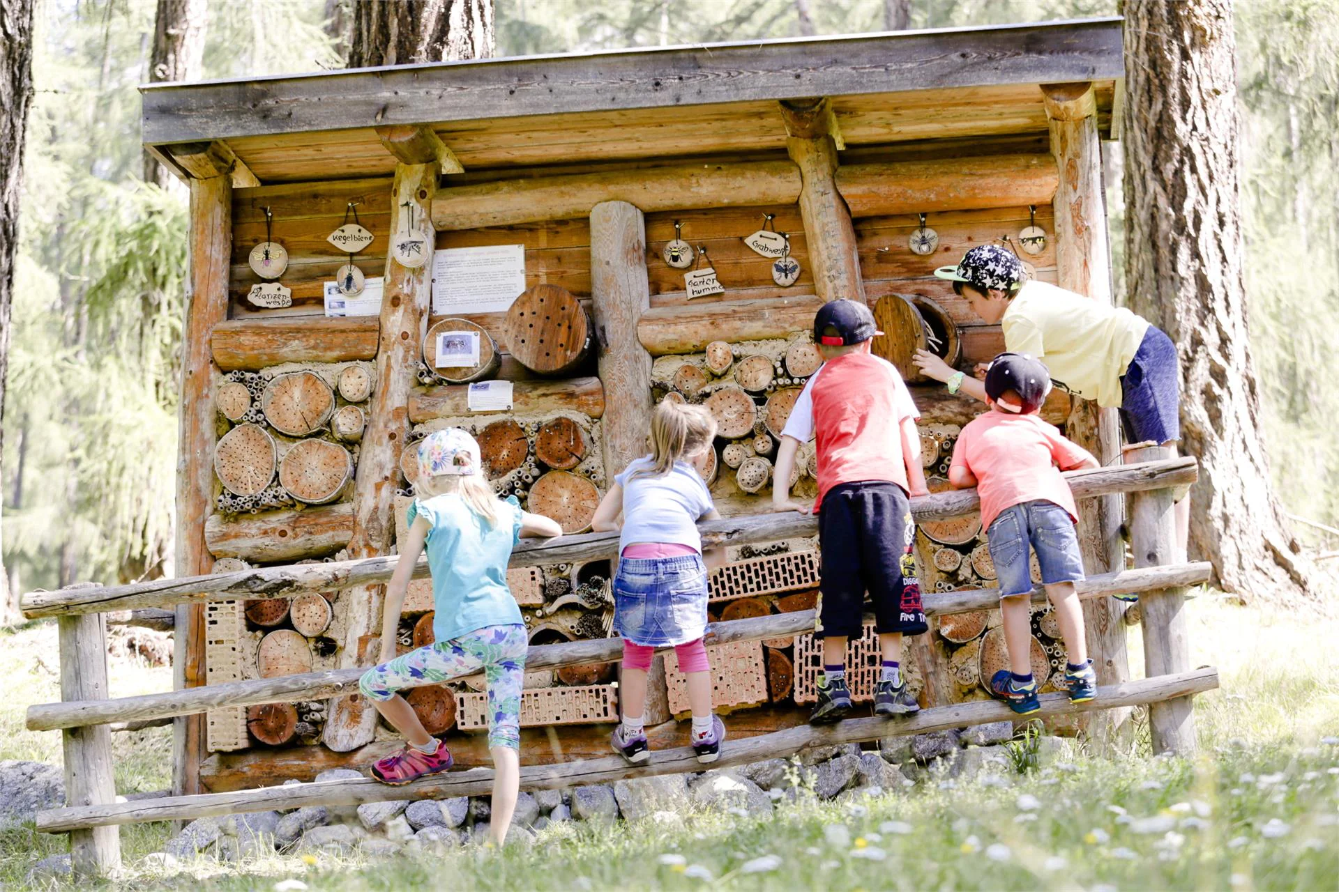 adventure trail Talai Graun im Vinschgau/Curon Venosta 1 suedtirol.info