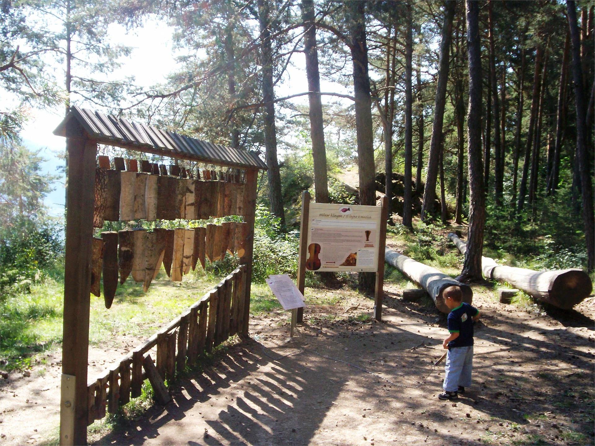 Percorso avventura - natura "Vorbichl" Tesimo 7 suedtirol.info