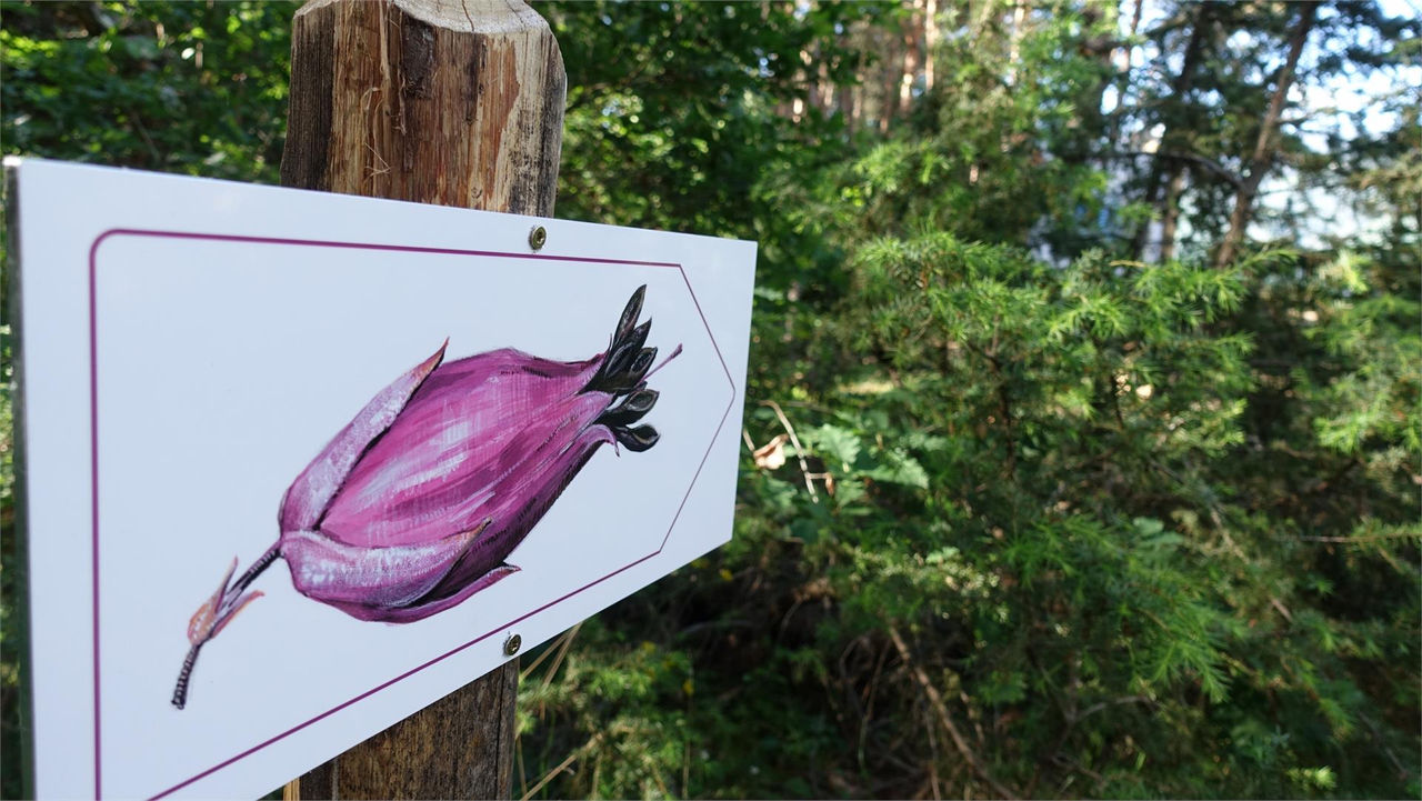 Percorso avventura - natura "Vorbichl"