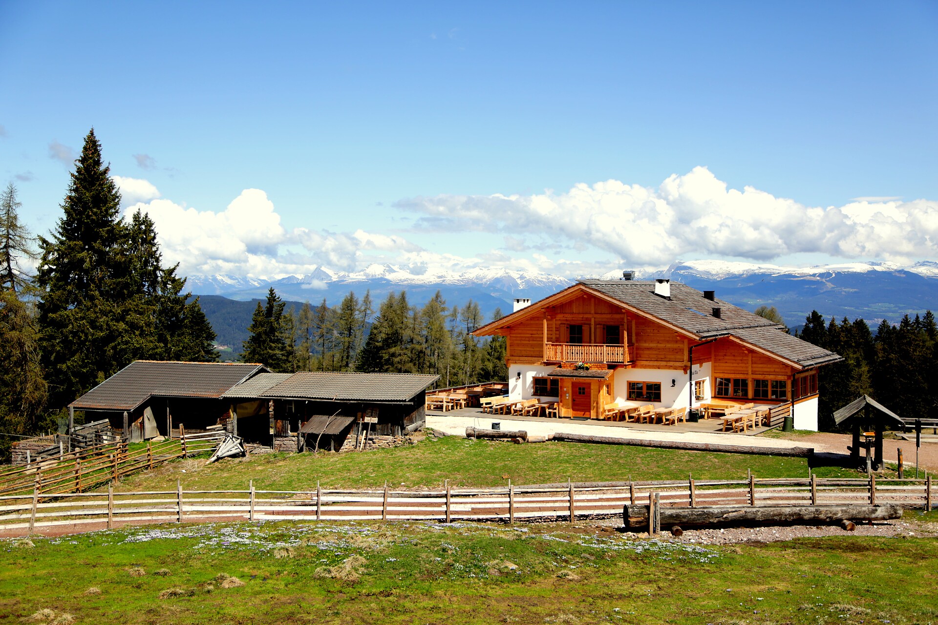 Mountain Cinema - Laab Alm Hut - Dolomites Region Eggental - #2 - suedtirol.info