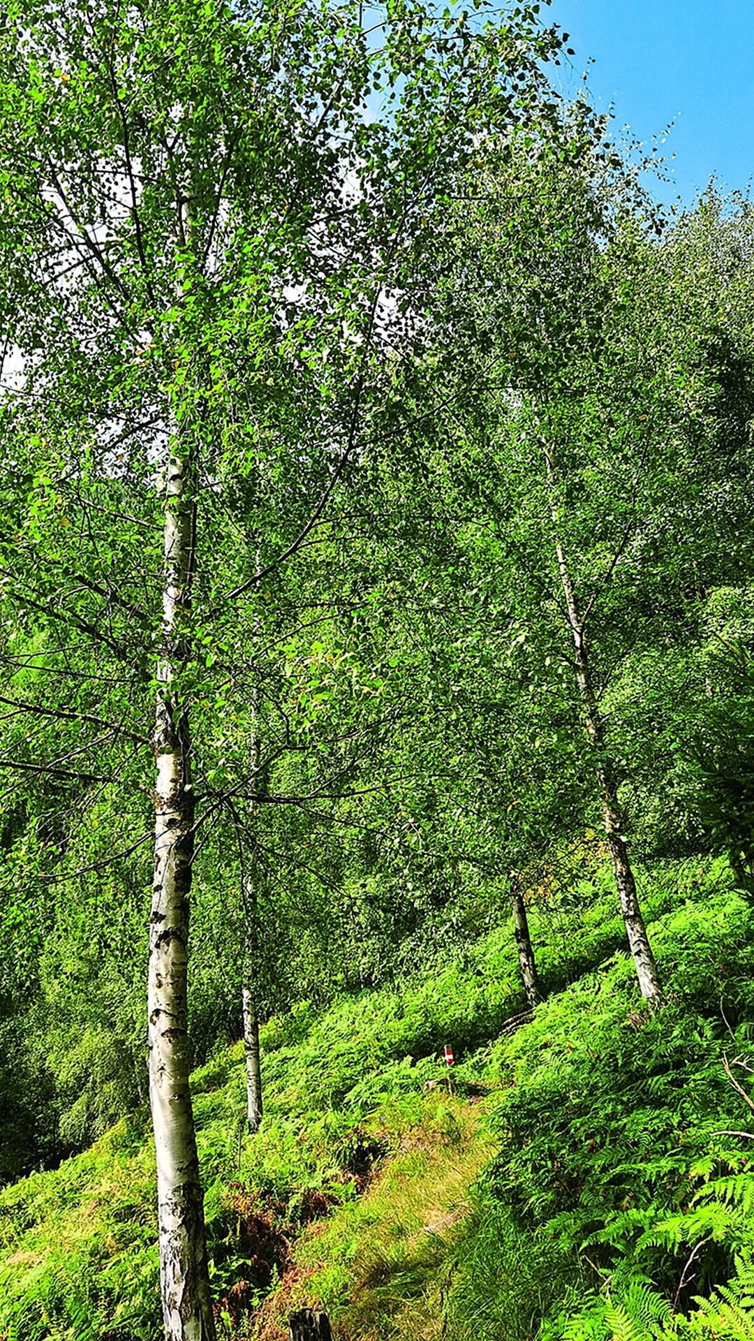 Lonely and challenging: the Peissersteig - Brixen/Bressanone and environs - #1 - suedtirol.info