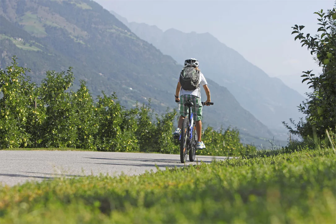 Adige cycling path along the Via Claudia Augusta from Naturno to Nalles