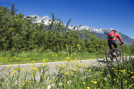 Cycling Adige route - stage Rabland/Rablà - Bozen/Bolzano Partschins/Parcines 1 suedtirol.info