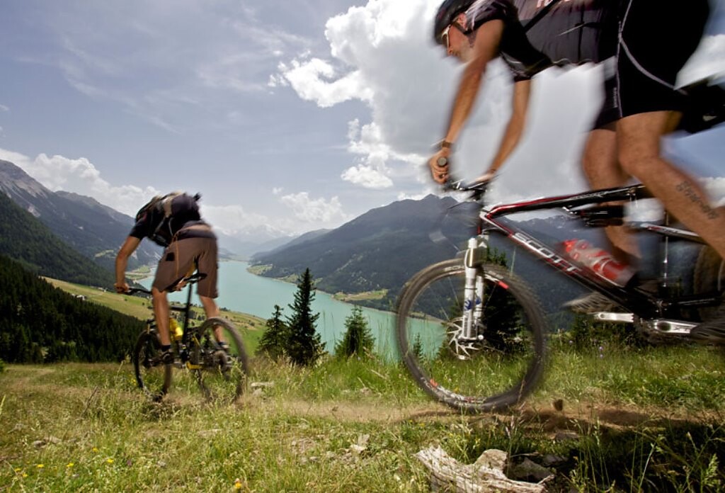 auf dem Trail