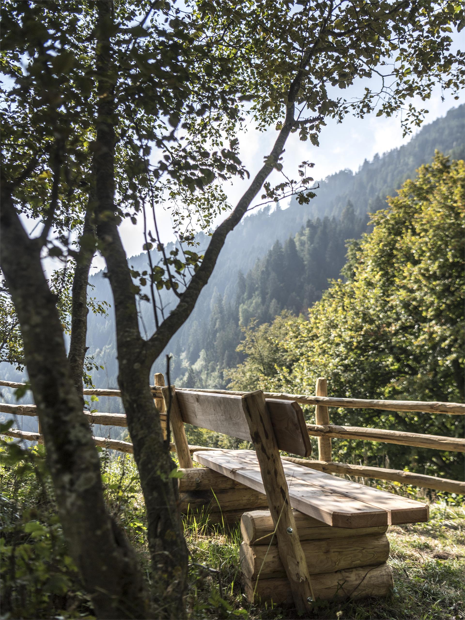 Elisabeth Trail - on the Alpine Hiking Path Waterfall to the Nasereit Hut Partschins/Parcines 10 suedtirol.info