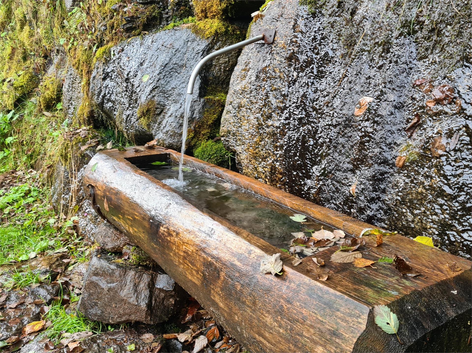 Elisabeth Trail - on the Alpine Hiking Path Waterfall to the Nasereit Hut Partschins/Parcines 18 suedtirol.info