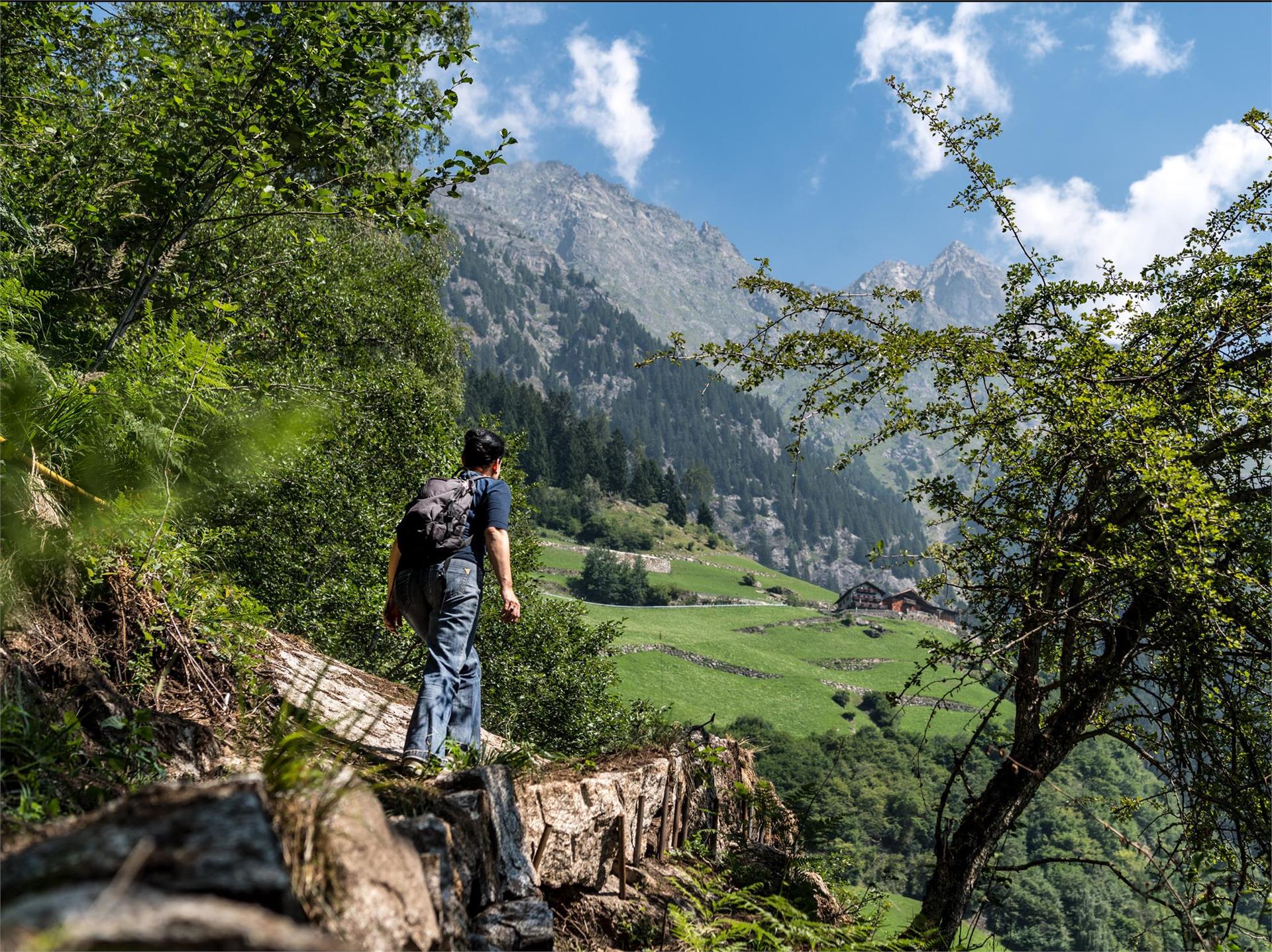 Elisabeth Trail - on the Alpine Hiking Path Waterfall to the Nasereit Hut Partschins/Parcines 1 suedtirol.info