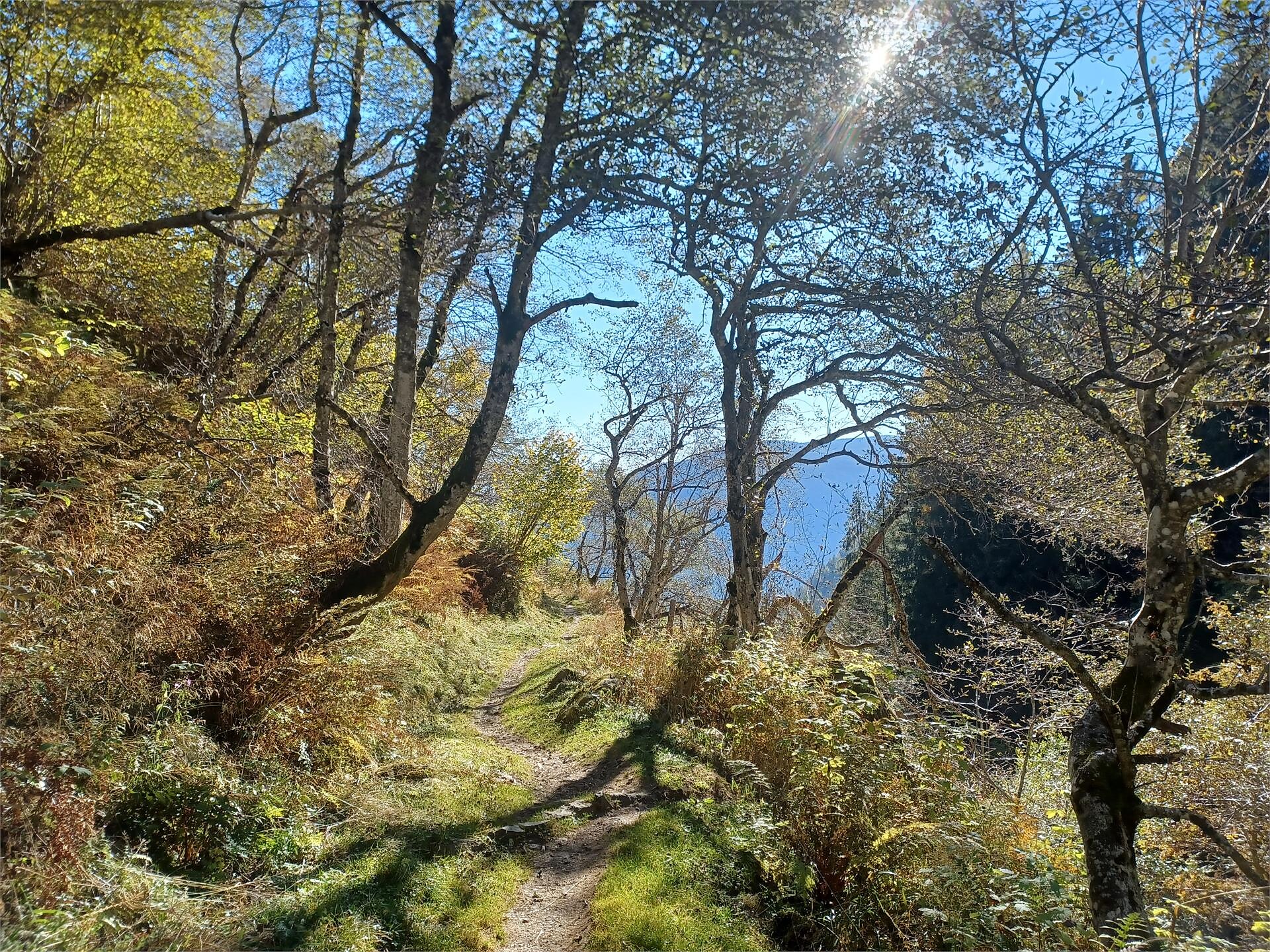 On the Merano High Mountain Trail to the Alpine hiking trail Waterfall