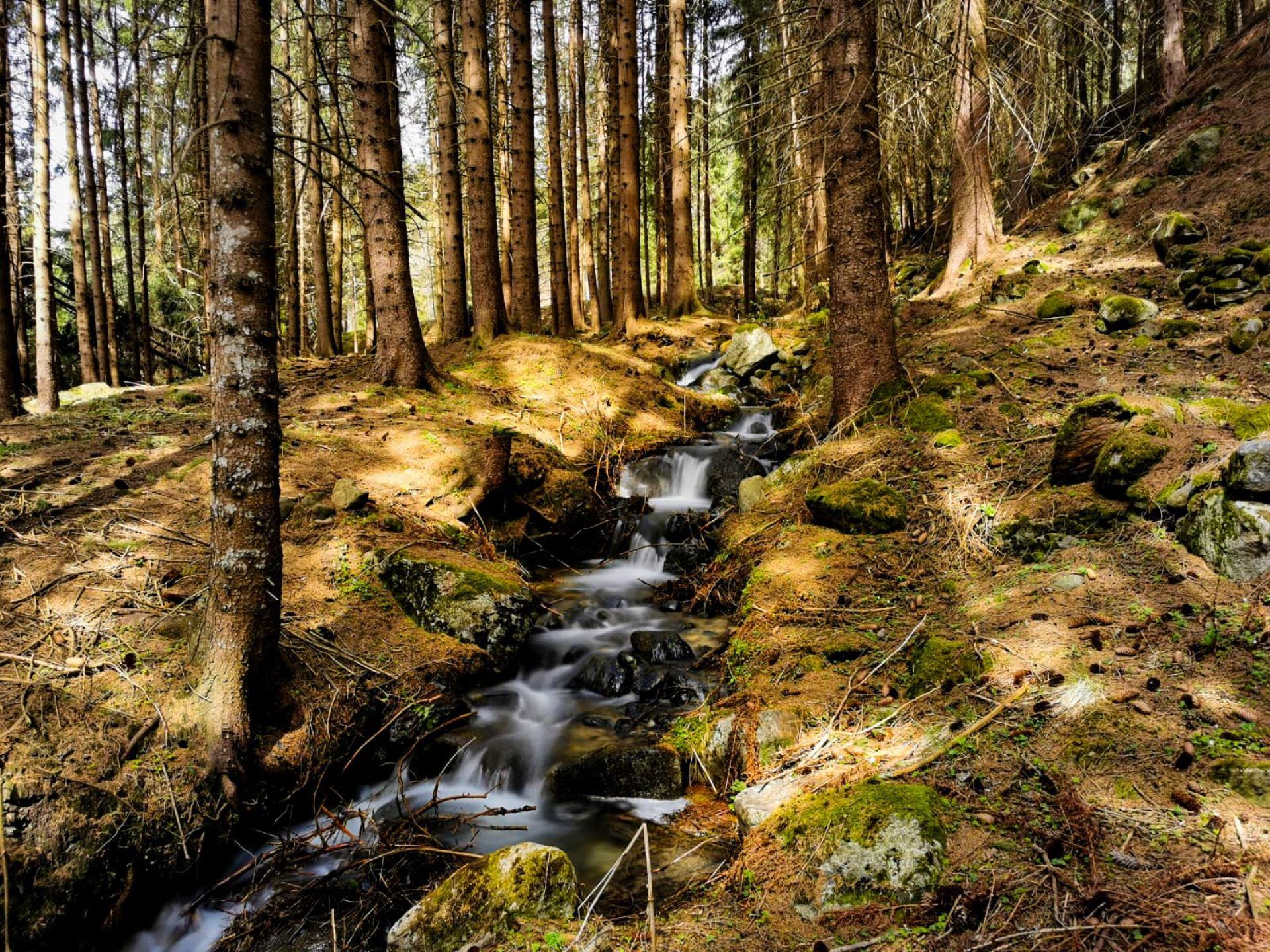 Erholungsweg Lahne (Elemente-Wege) Gais 1 suedtirol.info