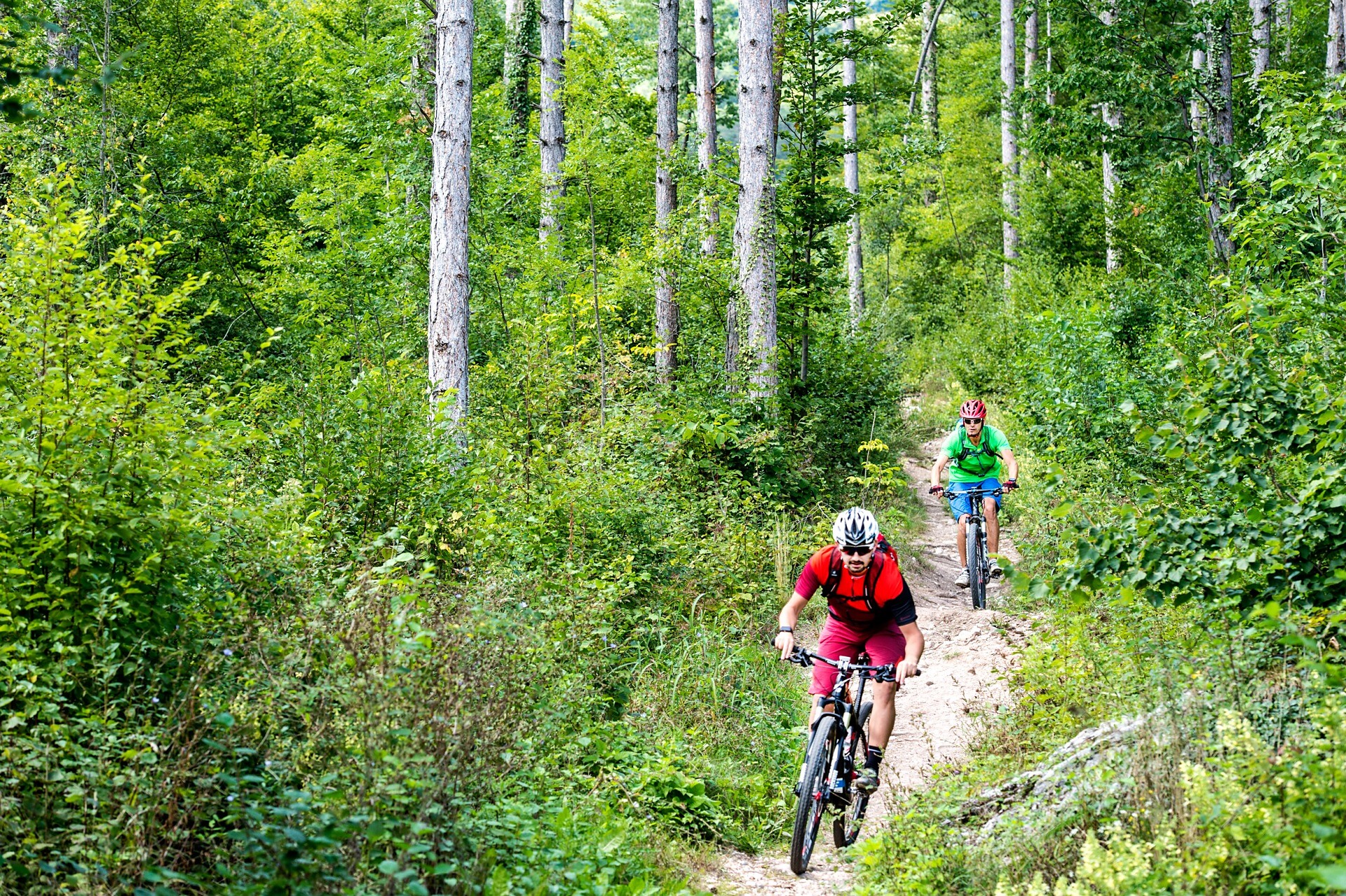 Single track in Appiano