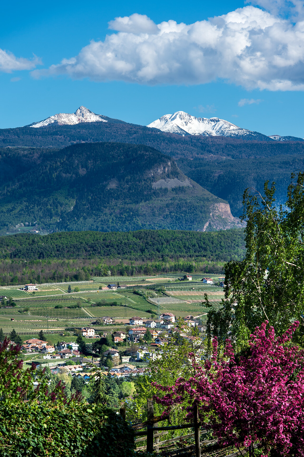 View over appiano