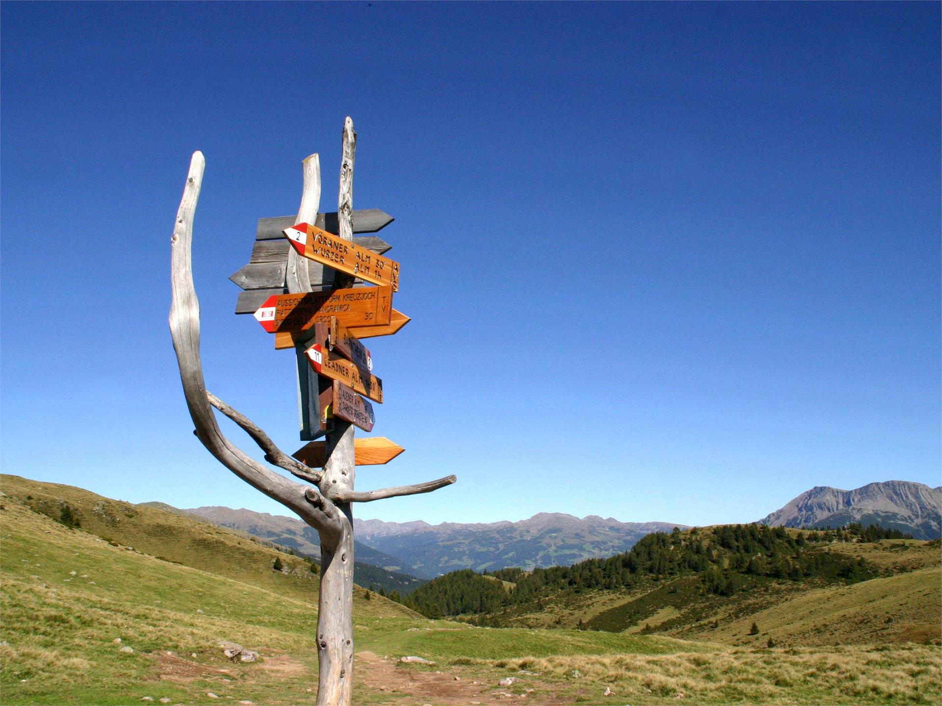 Falzeben - Mölten Hafling 1 suedtirol.info