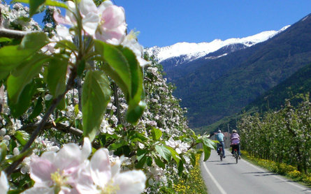 Family cycling tour from Schlanders to lake Goldrain Laas/Lasa 1 suedtirol.info