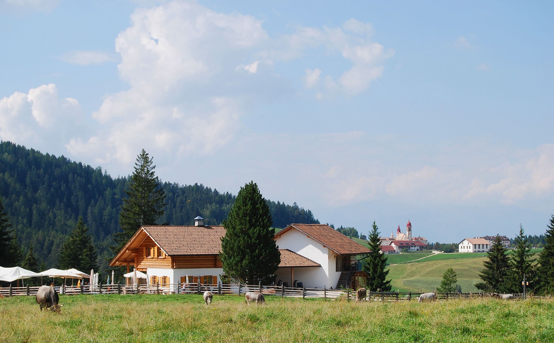 Petersberger Leger hut