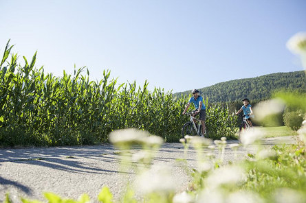 Pustertal|Val Pusteria Bike Route: Leg San Candido|Innichen - Lienz (A)  1 suedtirol.info