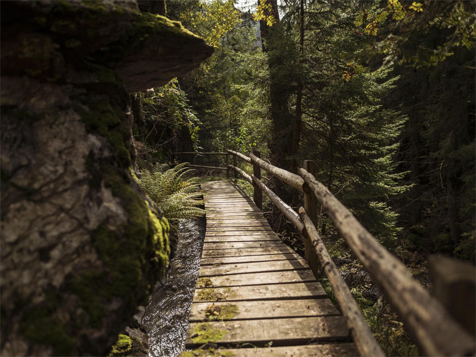 "Leitenwaal and Berkwaal" irrigation channel path Schluderns/Sluderno 2 suedtirol.info