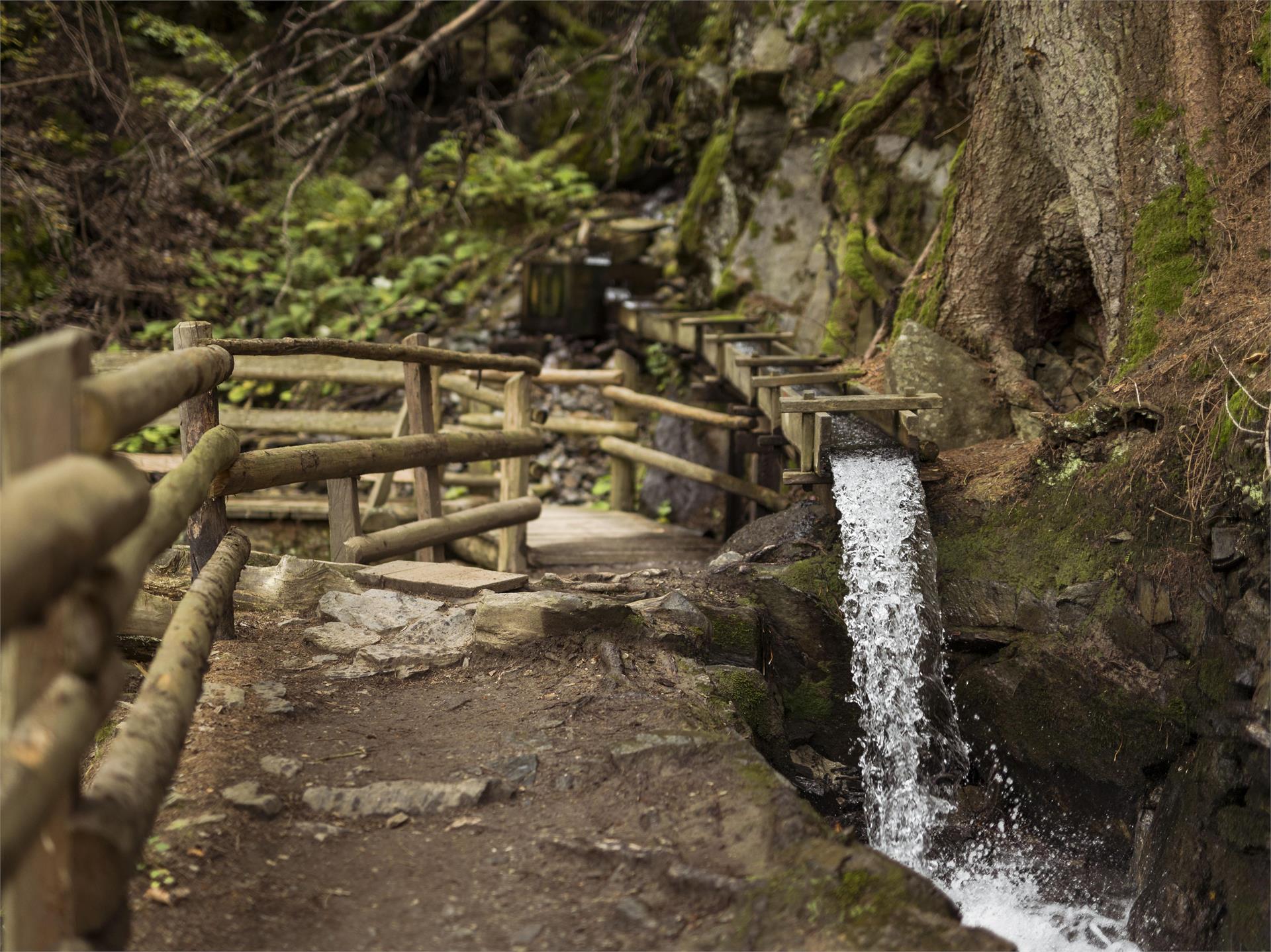 "Leitenwaal and Berkwaal" irrigation channel path Schluderns/Sluderno 1 suedtirol.info