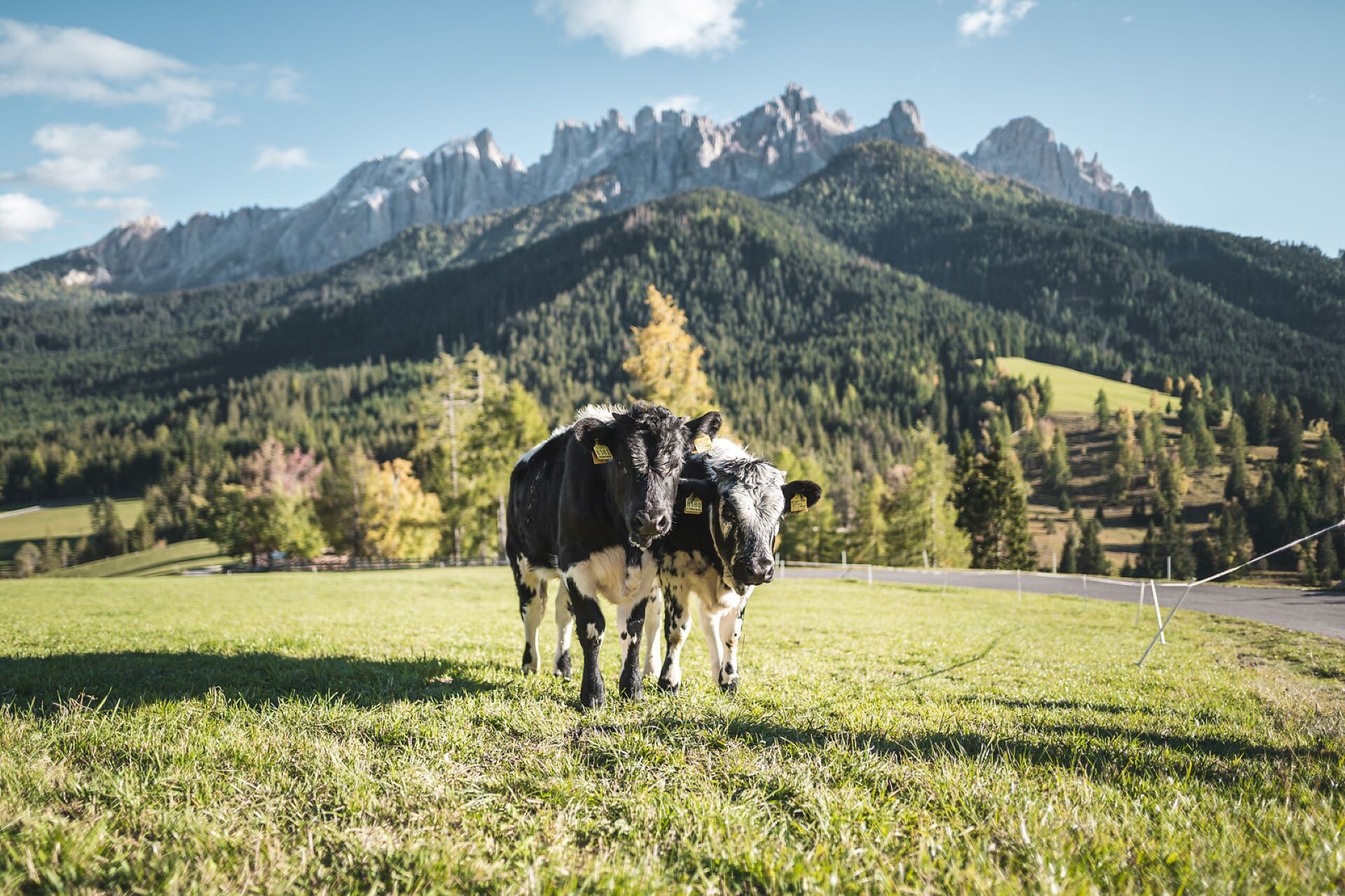 Family walking tour from Lake Carezza to the Stadl Alm hut - Dolomites Region Eggental - #6 - suedtirol.info