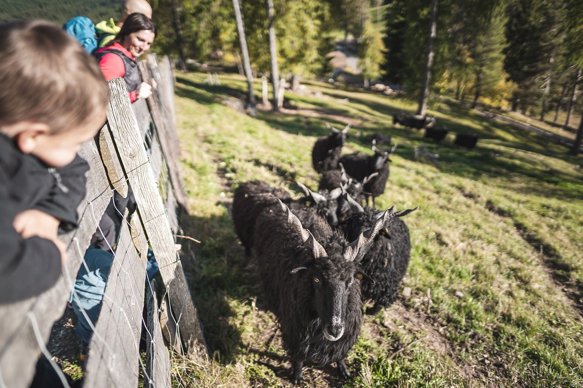 Escursione per famiglie dal Lago di Carezza alla malga Stadl Alm - Regione dolomitica Val d'Ega - #2 - suedtirol.info