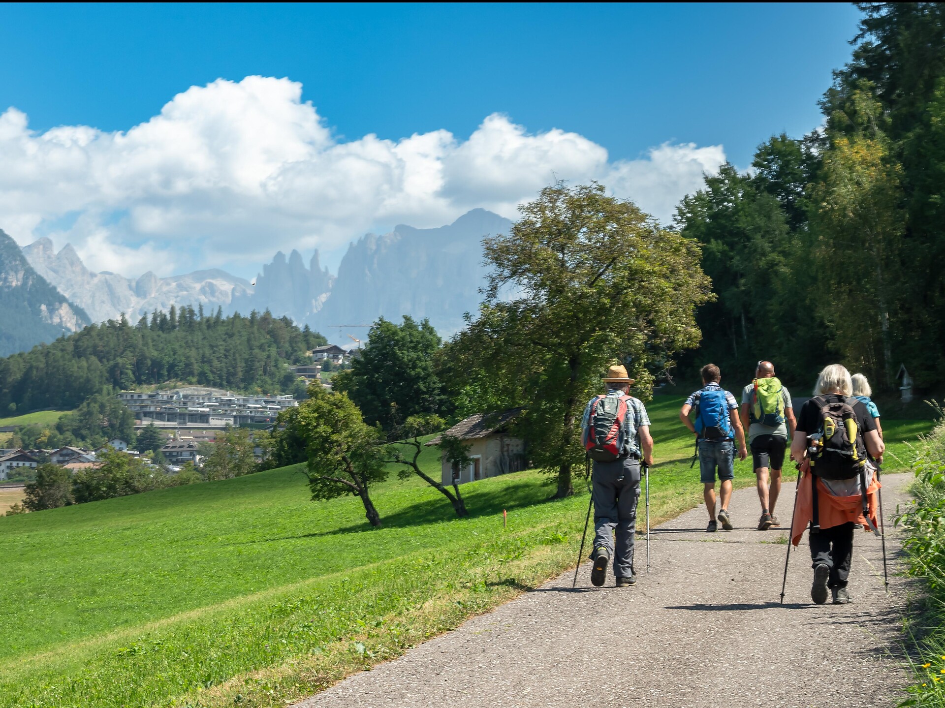 Kurz vor Steinegg mit Blick auf Rosengarten