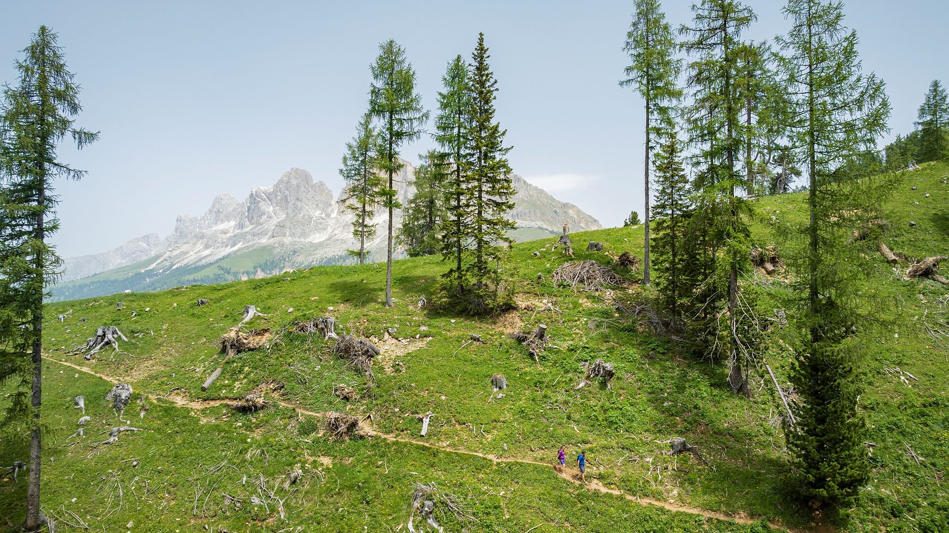 Vom Karerpass zum Mitterleger und zu den Latemarwiesen  -  - #7 - suedtirol.info