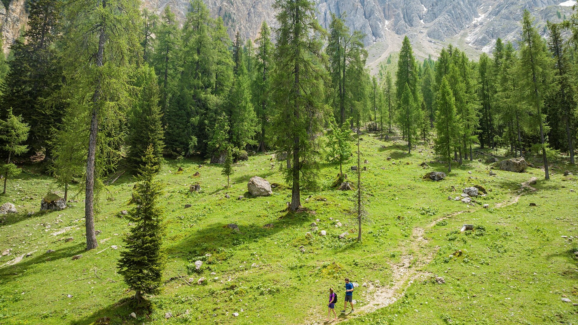 Vom Karerpass zum Mitterleger und zu den Latemarwiesen  -  - #6 - suedtirol.info